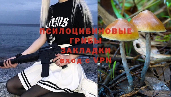 меф Ладушкин