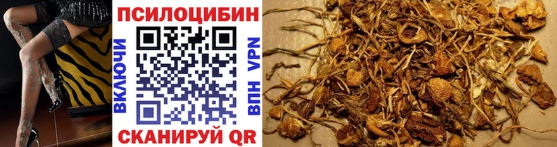 Купить  Невель  Галлюциногенные грибы Cubensis 